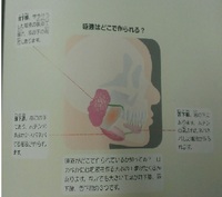 6.jpgのサムネール画像